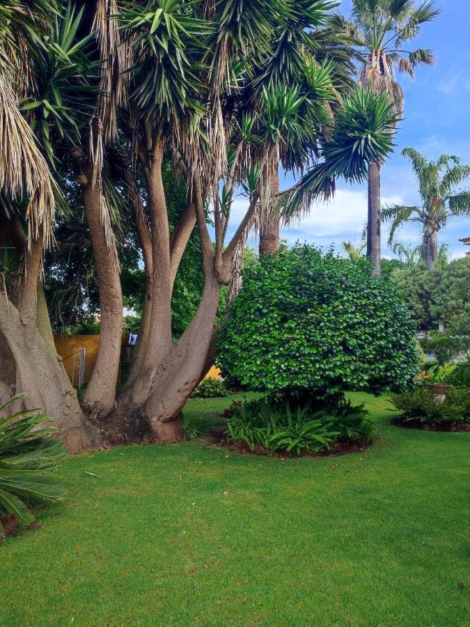 Finca El Trazo Tacoronte Exteriér fotografie