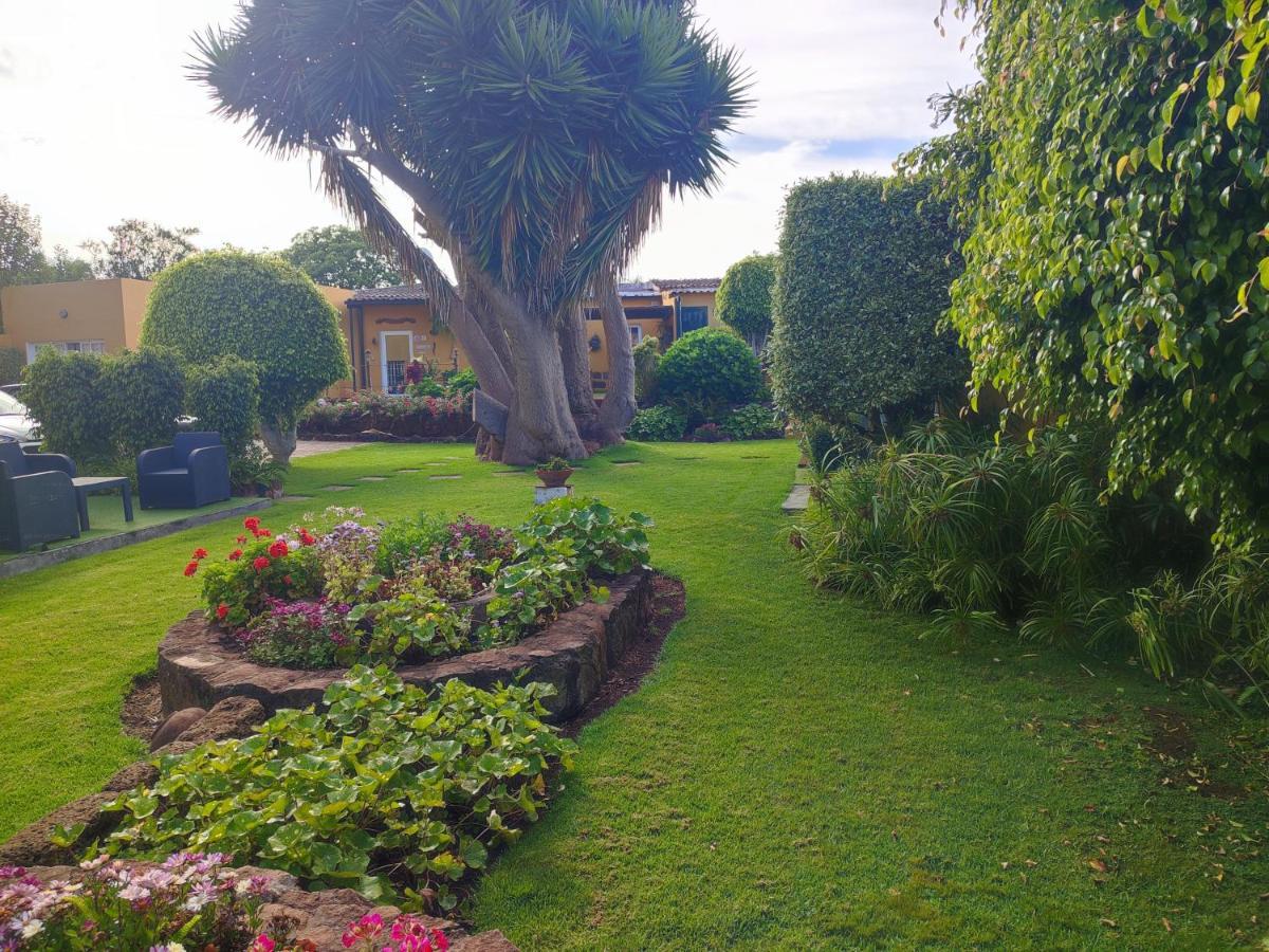 Finca El Trazo Tacoronte Exteriér fotografie